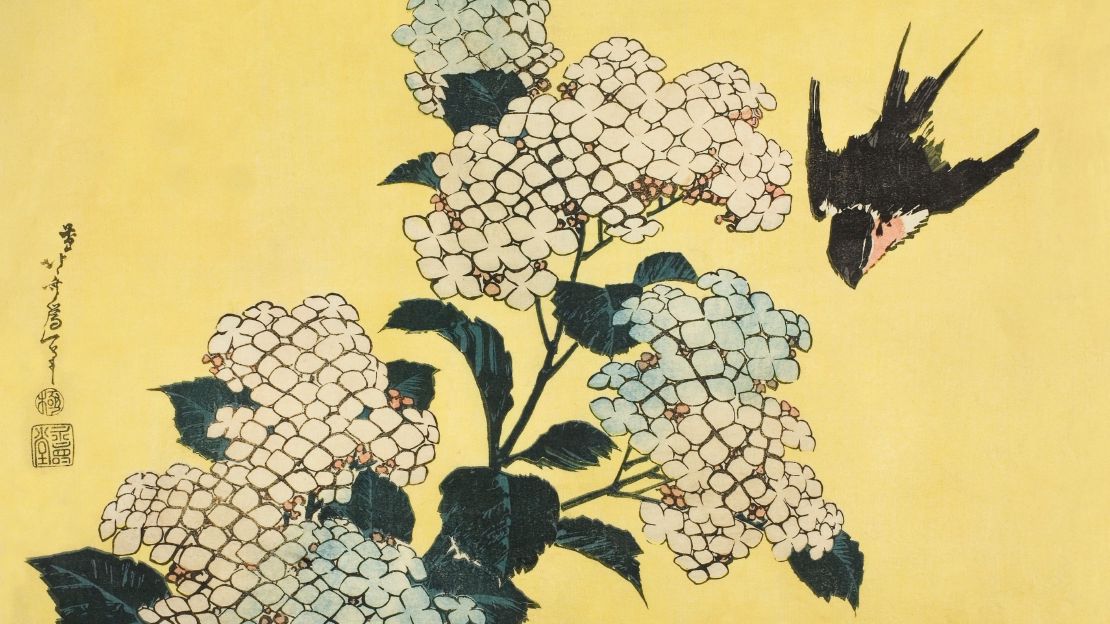 Hydrangea and Swallow  Art