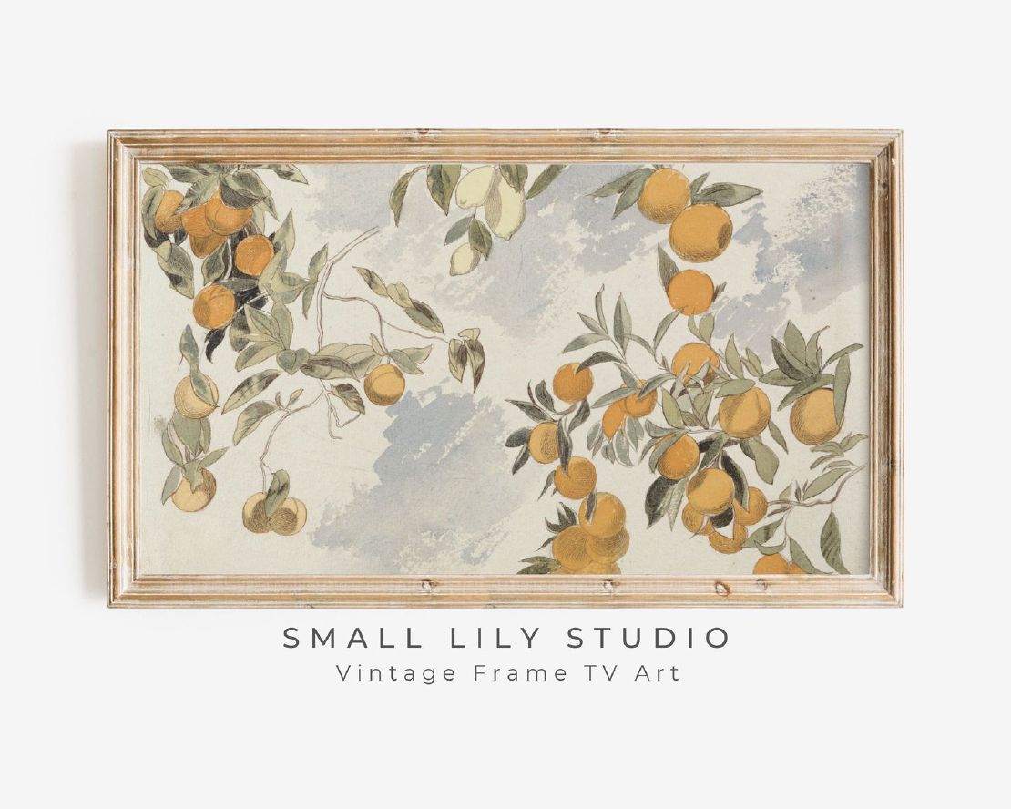 Orange Tree  Art